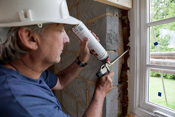 Best Eco-Friendly Insulation in Wakeman, OH