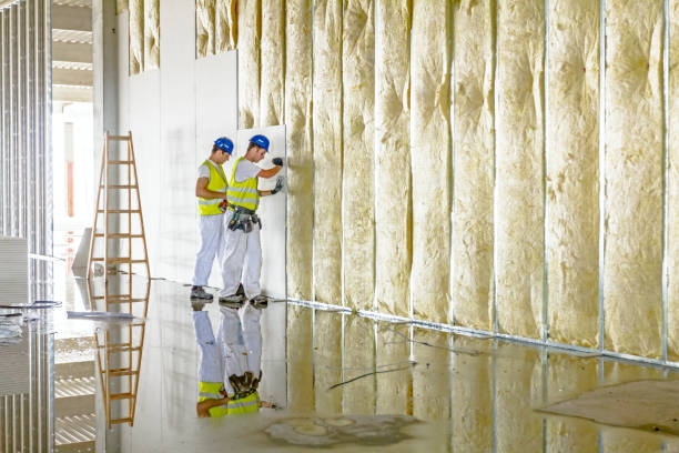 Best Residential Insulation in Wakeman, OH